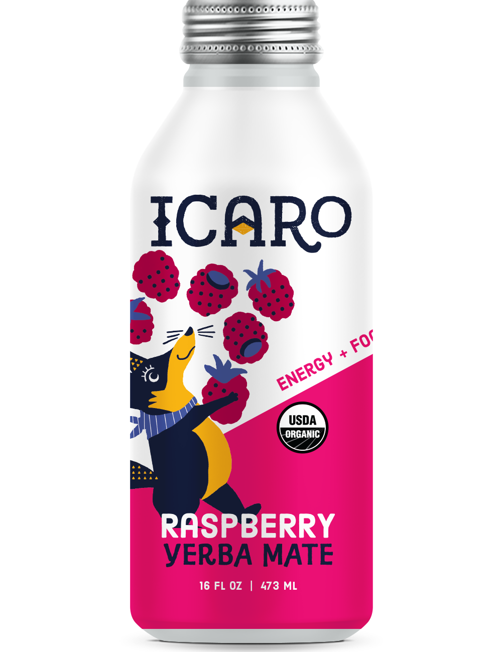 IcaroRaspberry-front.png