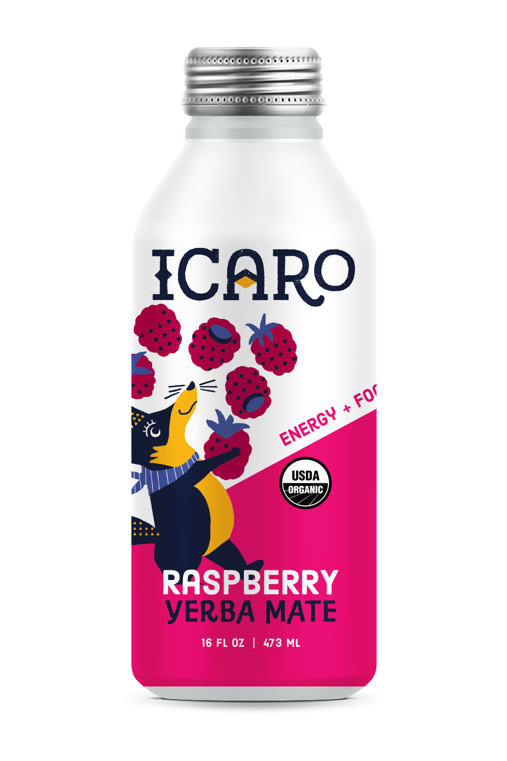 Sparkling Raspberry Yerba Mate 9-Pack