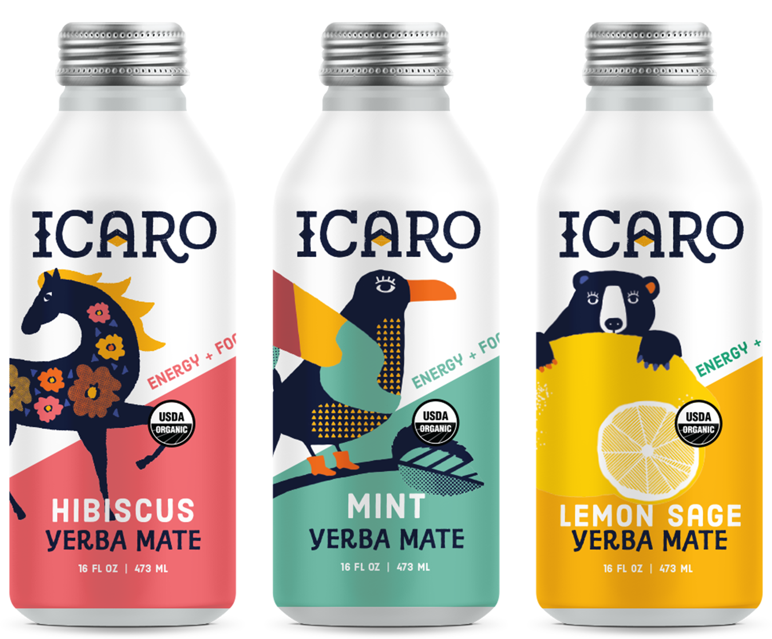 Yerba Mate Variety Pack (9-Pack)