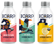 Yerba Mate Variety Pack (9-Pack)